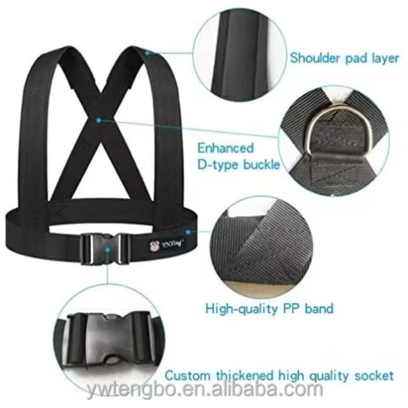 เชือกดึงยางยืดแบบสองชั้นสำหรับ - Resistance Bands บทวิจารณ์และราคา